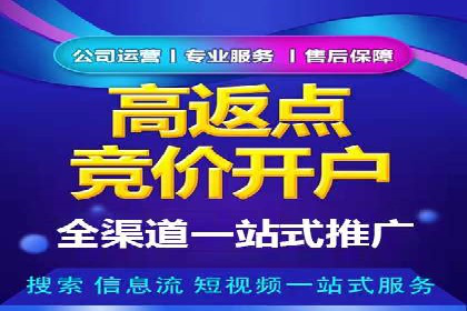 托管竞价sem案例分享：某电商平台的成功之路
